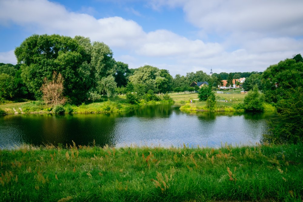 Spring Immersion: Location