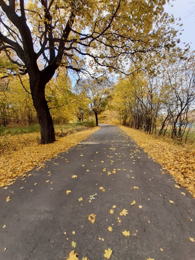 Advance Your Practice Retreat